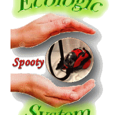 logoEco2SF-7